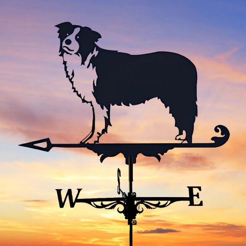 Border Collie Stainless Steel Weathervane MW012