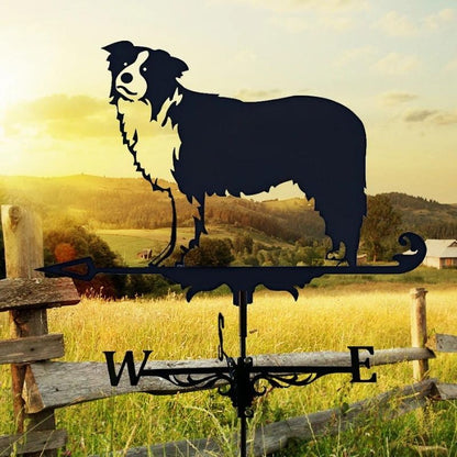 Border Collie Stainless Steel Weathervane MW012