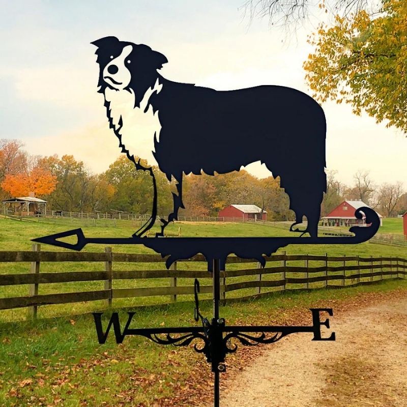 Border Collie Stainless Steel Weathervane MW012