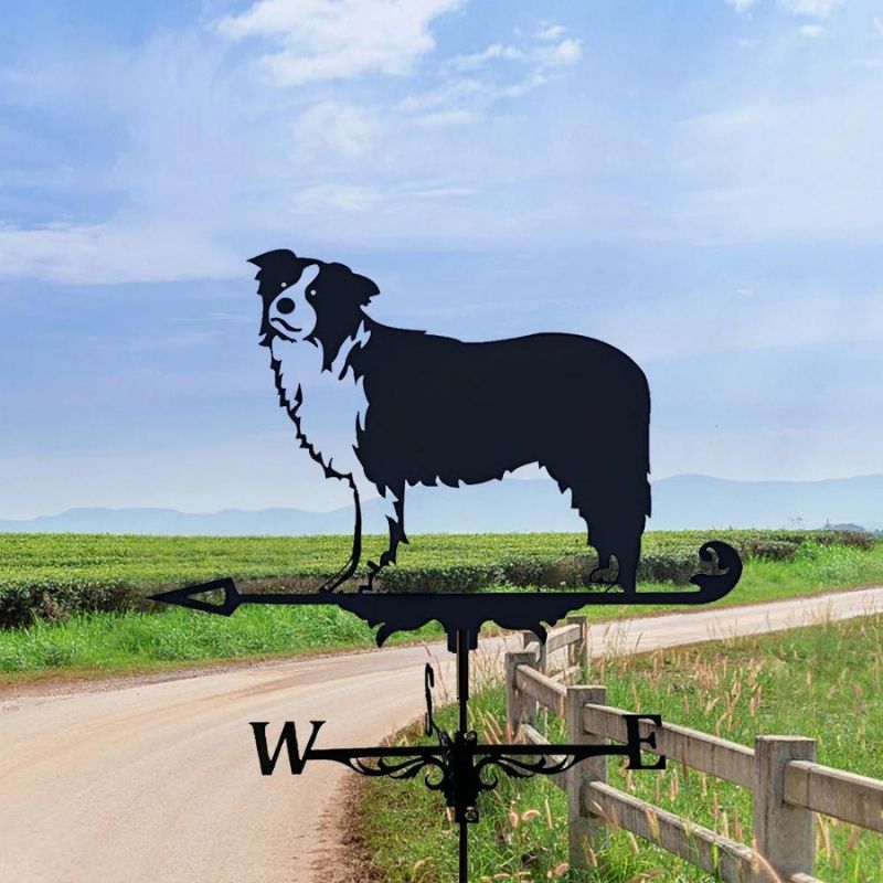 Border Collie Stainless Steel Weathervane MW012