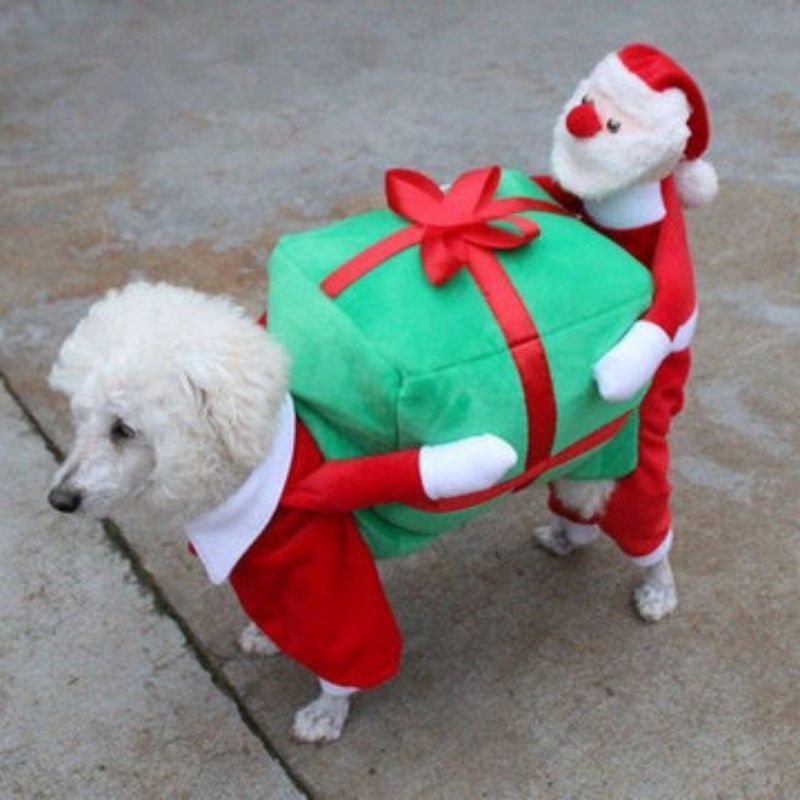 Chucky Pet Costume - Santa Claus