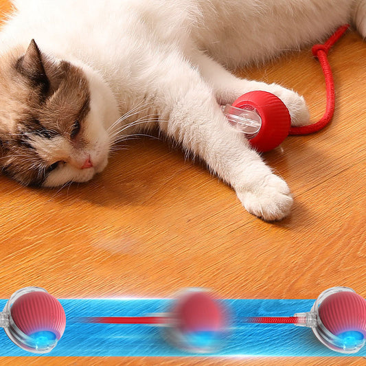 Smart Interactive Pet Toy Ball