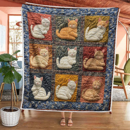 Sleepy Cat Haven Blanket - H222 - Premium Blanket