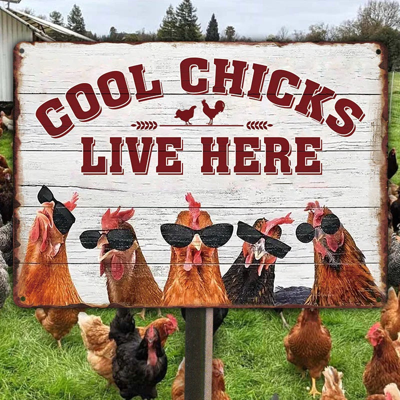 Chicken Coop Sign | Cool Chicks Live Here Chicken Coop Sign Metal Cool Chicks Live Here Information Signs