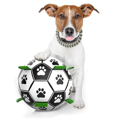 Interactive Football Dog Toy