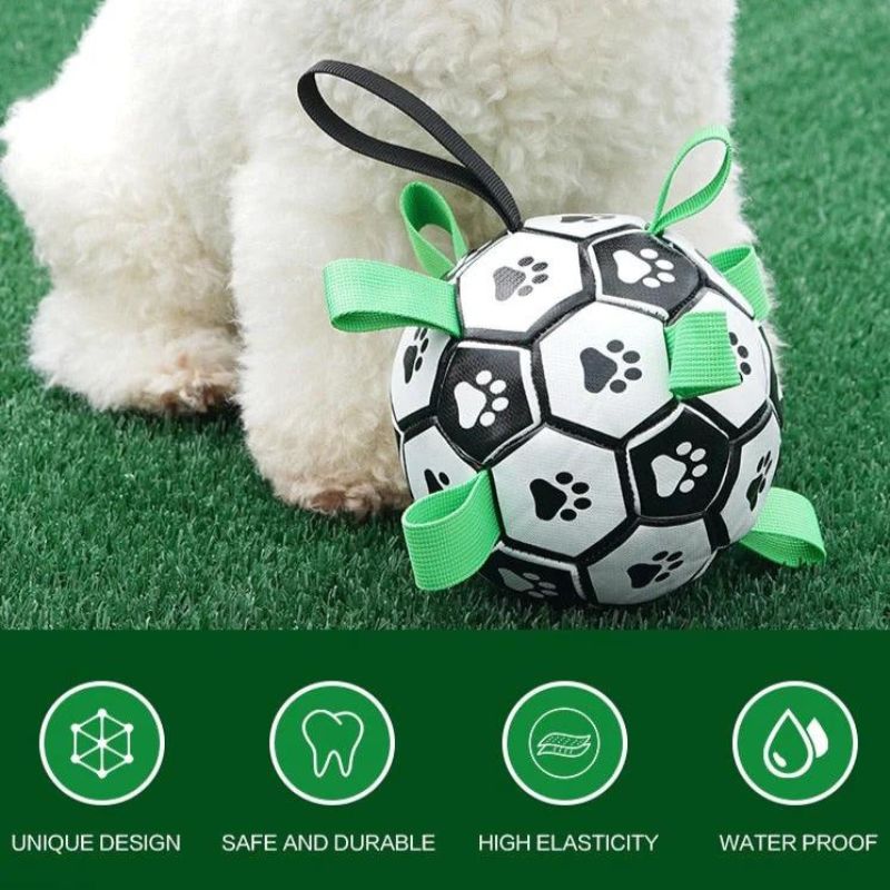 Interactive Football Dog Toy