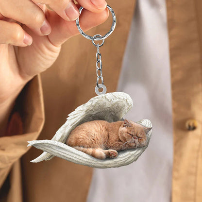 Sleeping Angel Acrylic Keychain Persian Cat SA127