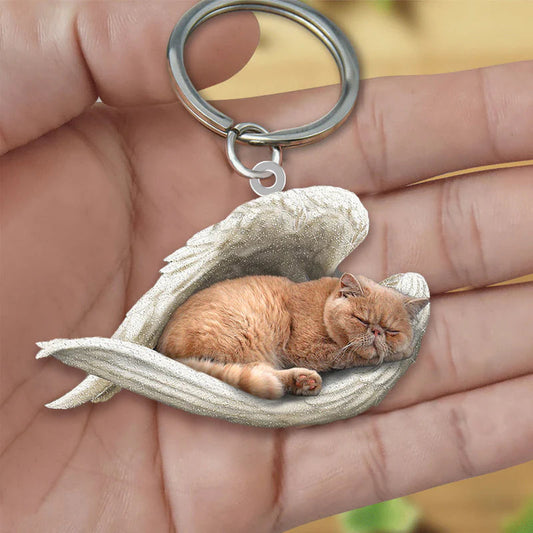 Sleeping Angel Acrylic Keychain Persian Cat SA127